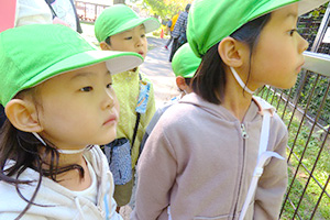 動物園遠足