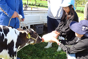 移動ふれあい動物園